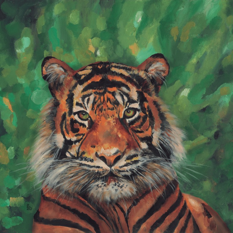 Tigre