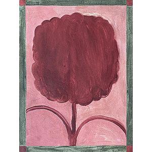 Flor roja - Edición especial