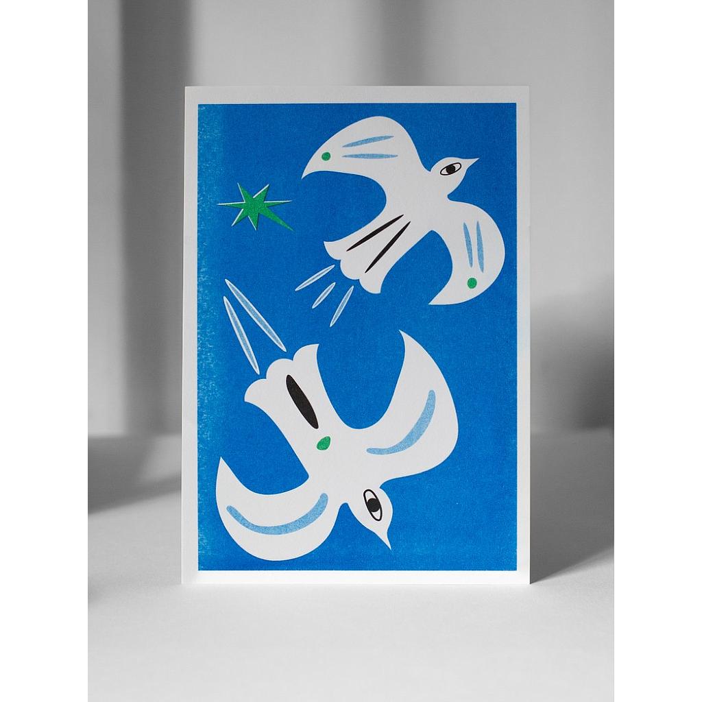 Mediterranean birds