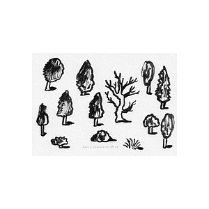 Bosque de invierno