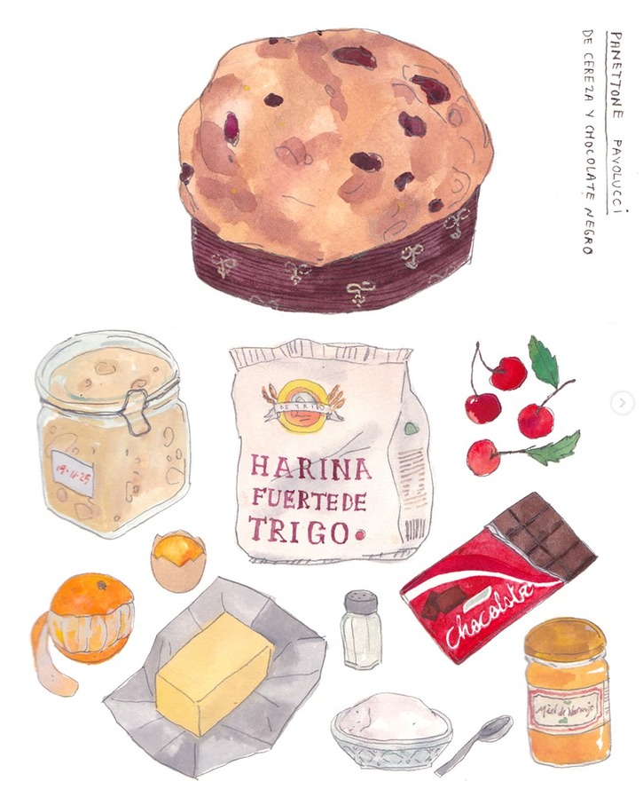 Panettone Pavolucci
