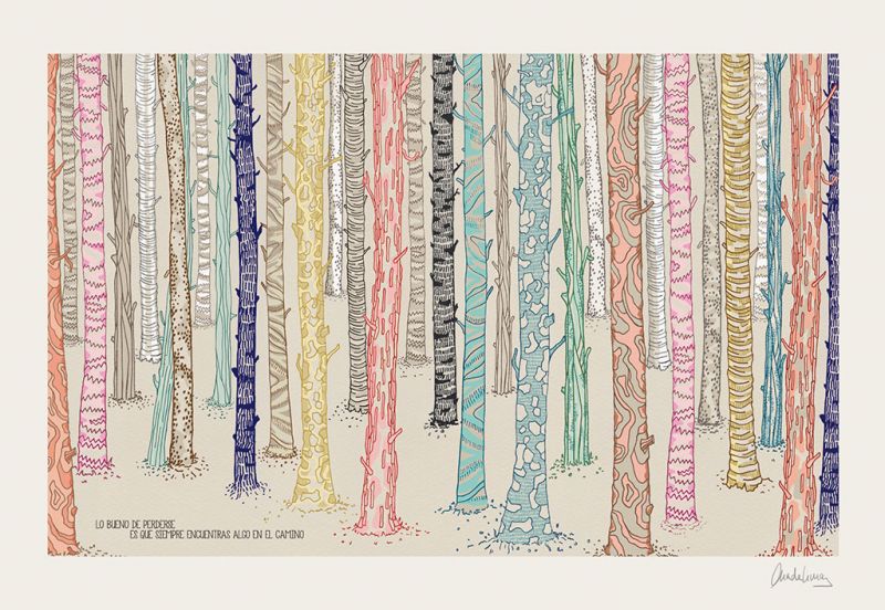 Forest (S)