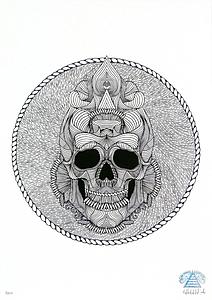 Skull 