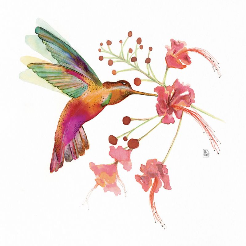 Hummingbird love #1