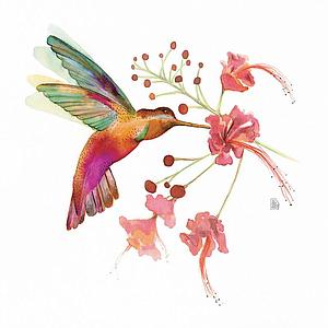 Hummingbird love #1