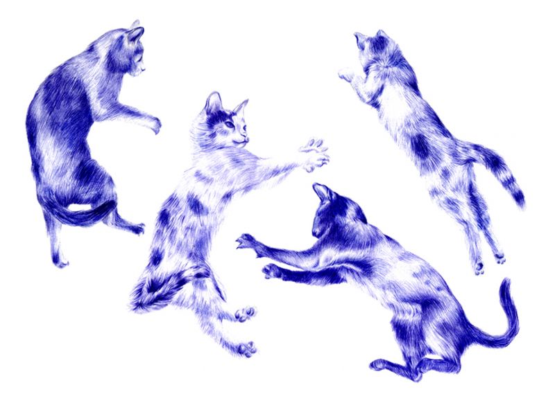 Cuatro gatos - azul