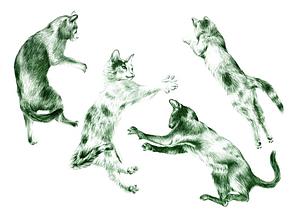 Cuatro gatos - verde