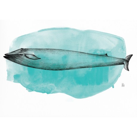 Underwater (round)