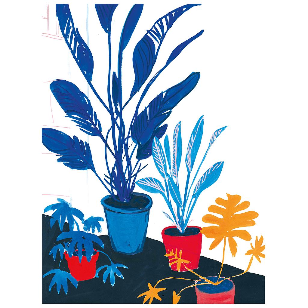 Blue plants red pots