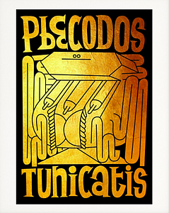 Pbecodos Tunicatis