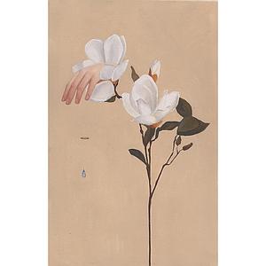 La zarpa de la Magnolia