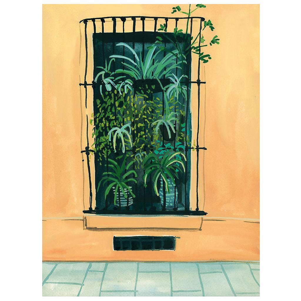Window in Barcelona