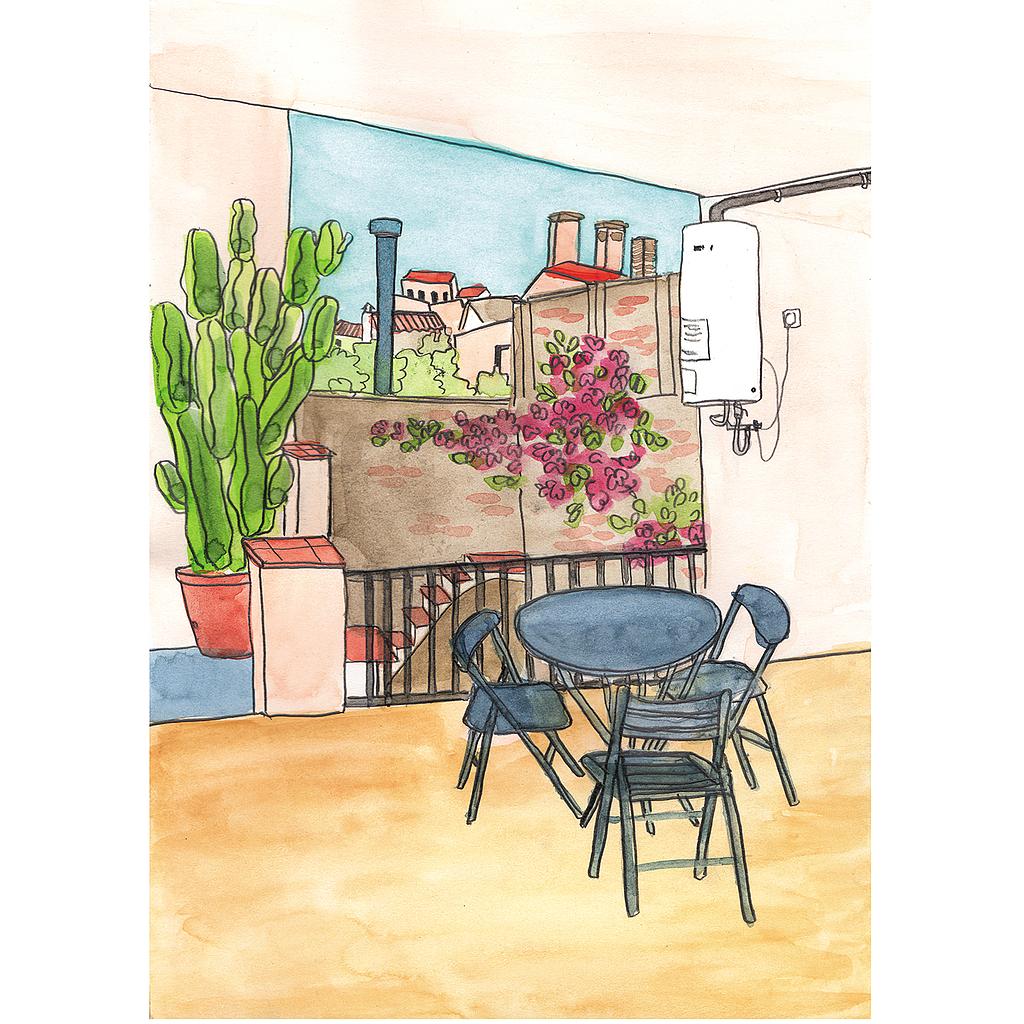 Terrasa amb cactus Sant Feliu (M)